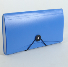 EXPANDING CHEQUE CASE 
