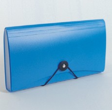 CHEQUE ENVELOPE 