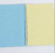 AEROLINE MULTI COLOR SPIRAL PAD 